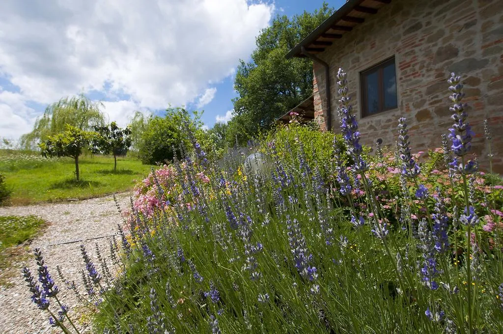 Casa di campagna I Gelsi Affittacamere Figline Valdarno Italia