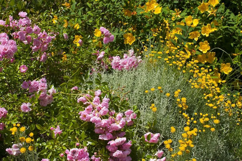Country house I Gelsi Guest House Figline Valdarno