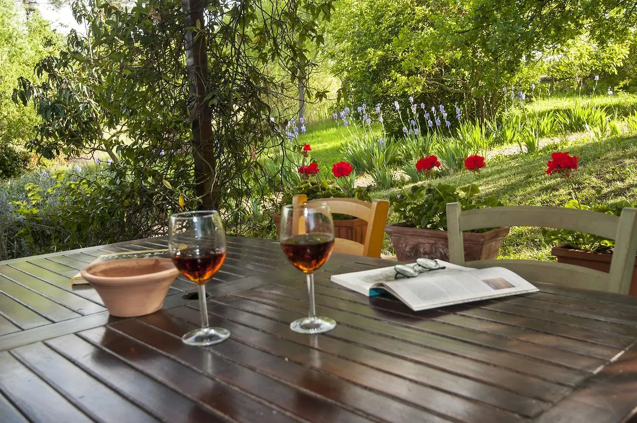 I Gelsi Guest House Figline Valdarno Country house